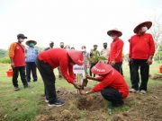 PDIP Jateng Tanam 15.000 Pohon di Bantaran Sungai Bengawan Solo