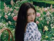 5 Fakta Unik Drama Joy Red Velvet “Korea Only One Person”