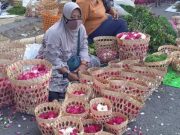 Fantastis, Jelang Lebaran Harga Bunga Mawar Melebihi Harga Daging Sapi bunga mawar