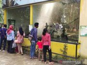 Libur Waisak, Taman Satwa Taru Jurug Targetkan 2.000 Pengunjung