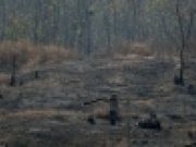 AS Akhiri Bantuan Untuk Kamboja Karena Deforestasi dan Penargetan Aktivis