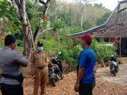 Gempa di Gunung Kidul Akibatkan 14 Rumah Rusak Ringan
