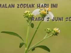 Ramalan Zodiak Rabu 2 Juni 2021 Pisces Bikin Pasangan Sangat Bahagia, Taurus Terapkan Sikap Sportif.
