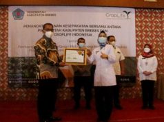 Antisipasi Obat Pertanian Palsu Pemkab Brebes MoU dengan CropLife