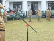 Sektor Pertanian Sangat Penting di Tengah Masyarakat Agraris, Mengapa?