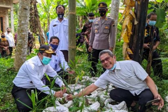 Bupati Wonosobo Resmikan BUMDes Bejo Lestari Kapulogo Kepil, Seperti Apa?