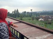 Resto Omah Latare Ombo, Dulunya Sebuah Kedai Kopi Kecil omah latare ombo