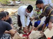 Berkurban dan Spirit Berbagi Di Era Pandemi