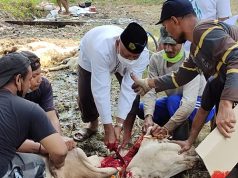 Berkurban dan Spirit Berbagi Di Era Pandemi