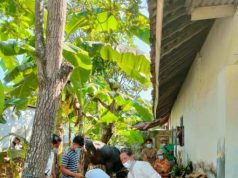 Mushala At Thohiriyah Kawedusan Potong 3 Ekor Sapi dengan Prokes