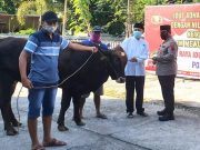 Hari Kedua Idul Adha Menerima Hewan Kurban dari Kapolres