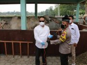 Polres Kebumen Potong 40 Ekor Sapi dan 22 Ekor Kambing