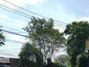 PPKM Darurat Hari Pertama, Jalan Umum di Kebumen Lebih Sepi