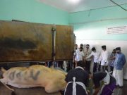 Pemkot Yogyakarta Minta Panitia Kurban Lakukan Penyembelihan di luar RPH