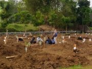 Pemakaman Prokes di TPU Giriloyo Khusus Warga Kota Magelang