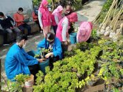 Proklim ke Depan Jadi Desa Wisata Berwawasan Lingkungan