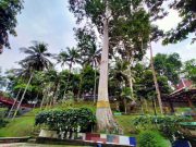 Objek Wisata Taman Kyai Langgeng Tutup Selama PPKM Darurat