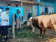 DPC PKB Wonosobo Bagikan Daging Kurban ke Warga Butuh Kidul Kalikajar