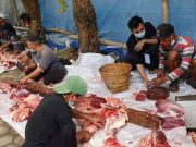 MAJT Hari Ini Lakukan Penyembelihan 10 Ekor Sapi dan 13 Kambing
