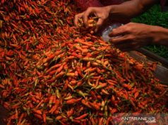 Harga Cabai Rawit Merah Naik Rp1.354 Per Kg