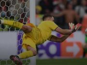 Telapak Laba-laba Donnarumma