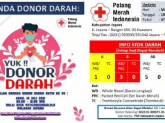 Stok Darah di PMI Jepara Menipis, Bahkan Ada yang Telah Kosong