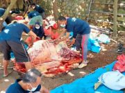 Indahnya Idul Adha di Padukuhan Watulumpang, Umat Kristiani Juga Dapat Daging Kurban