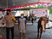 Polres Klaten Serahkan Puluhan Hewan Kurban untuk Ponpes, Panti Asuhan, Masjid ,dan Relawan
