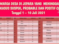 Mencermati Angka Kematian di Tengah Pandemi Agar Tak Menjadi Tsunami