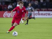 Sargent Pindah ke Norwich dari Werder Bremen