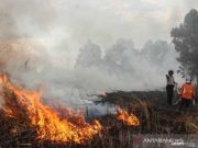 Polres Tangani 20 Perkara Kebakaran Hutan dan Lahan