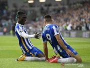 Brighton Bukukan Rekor Sapu Bersih