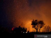 Ratusan Penghuni Pulau Dievakuasi Akibat Kebakaran Hutan di Yunani