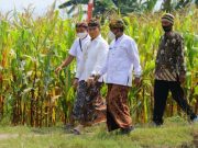 Bupati Kudus Ingatkan Petani juga Harus Taat Prokes