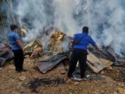 Kandang Ayam Ludes Terbakar di Geyer, Kerugian Capai Rp 1,3 Miliar