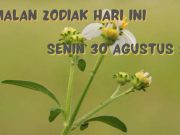Ramalan Zodiak Senin 30 Agustus 2021, Cancer Beda Pendapat, Leo Hindari Egois