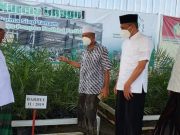 Dukung Pengembangan Wisata Religi, Program Kurmanisasi di MAJT Digalakkan