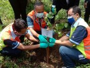 PT Tirta Investama Wonosobo dan Instiper Yogyakarta Tanam 76 Pohon di Taman Konservasi “Kehati”