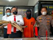 Polisi Tangkap Pelaku Penambang Emas Tanpa Izin