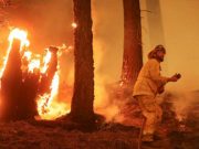 Suhu Meningkat Akibat Kebakaran Hutan Besar di Wilayah California Utara