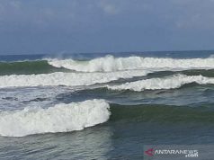 BMKG Sebut Gelombang Tinggi di Perairan Bengkulu Capai 4 Meter