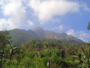 Hutan Gunung Andong di Petak 26 E RPH AmbarawaTerbakar gunung andong