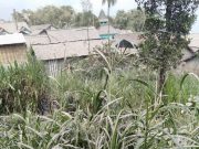 Keluarkan Awan Panas, Hujan Abu Landa 7 Desa di Lereng Merapi hujan abu