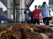 Gudang Garam Siap Beli 10.000 Ton Tembakau dari Petani Temanggung tembakau