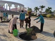 Hutan Kurma Bakal Menarik Wisatawan Berkunjung ke MAJT