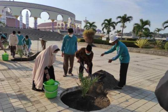 Hutan Kurma Bakal Menarik Wisatawan Berkunjung ke MAJT