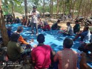 Perhutani Sosialisasikan Tanaman Gamal untuk Penyediaan Bahan Bakar Ramah Lingkungan