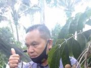 Kebun Kelengkeng Borobudur Masih Diprioritaskan Untuk Studi Banding