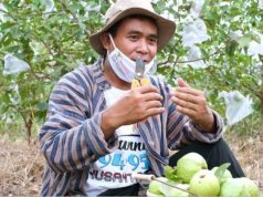 Polisi Tanam Jambu, Hasilnya untuk Bantu Ekonomi Warga