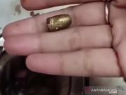 Polisi Selidiki Peluru Nyasar ke Rumah Warga